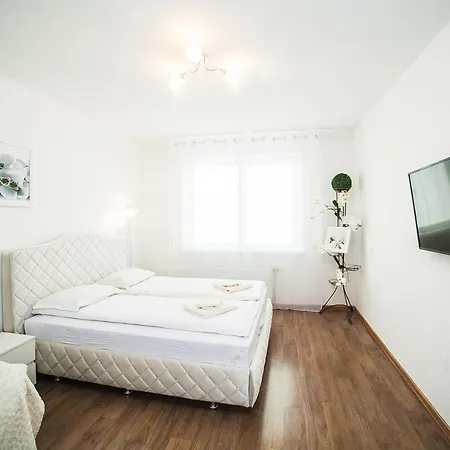 Vgosti Skripka 2 Minsk